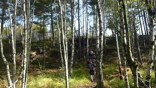SSSM MMXVII - Starten