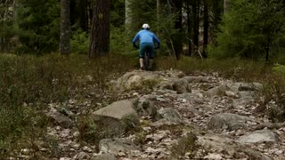 Stumpjumper 2019