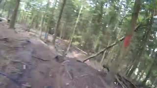 Enduro