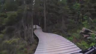 Magic Moose
