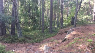 Huck med klang