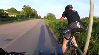 Lindvreten blå