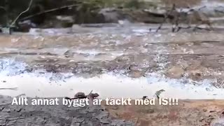 Nyårshälsning från GB