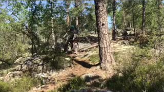 Gömmaren, SS RAVINEN