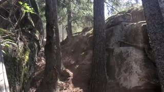 Smygträning