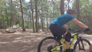 Rocky Mountain Element