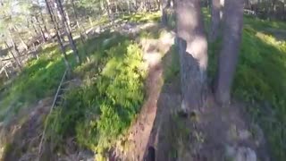 Värmdö Rollercoasters