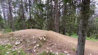 Lofsdalen