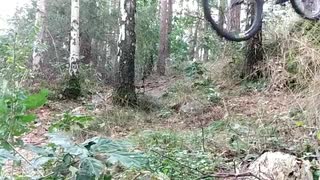 Sten drop