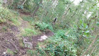 Hopp i loop