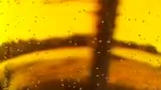 Primator