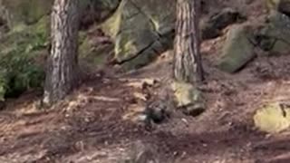 Eklanda switchback i vårsolen