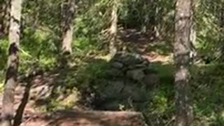 Första drop till sen hopp. King of bongo