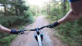 Trek Top Fuel 2020