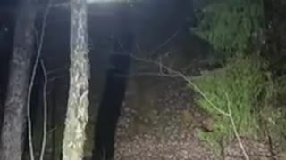 Kvällsroller bällstaberg, Vallentuna