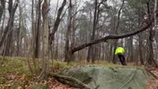 Skog