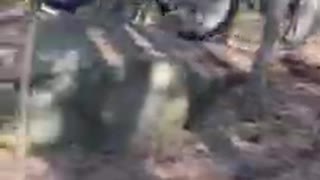 Enduro Änggården