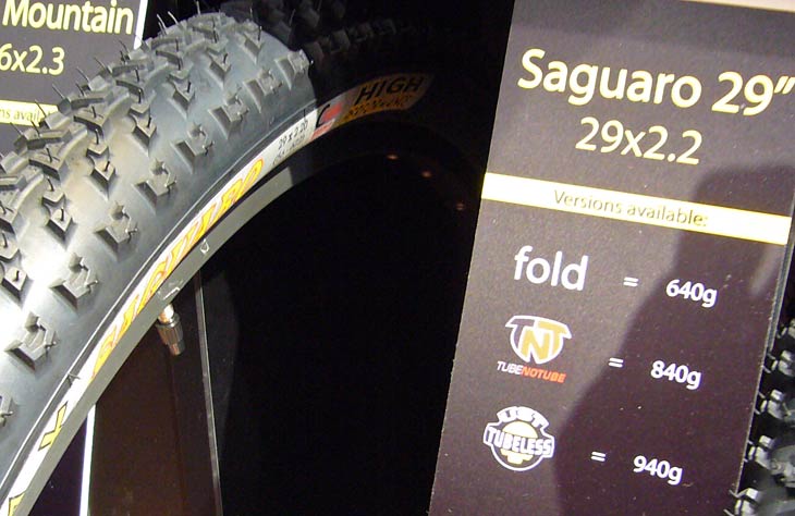 saguaro.jpg