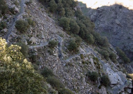 Stigen Lemmings i Sierra Nevada