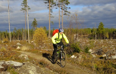 Törnbergs stig norr om Falun är fantastisk rolig att cykla med 29-er.