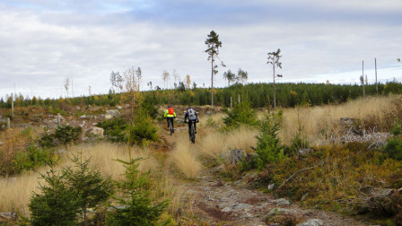 Grupptest Cykelvasacyklar