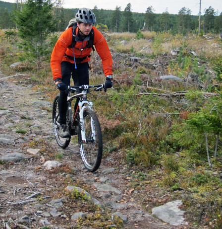 Merida på skogsväg
