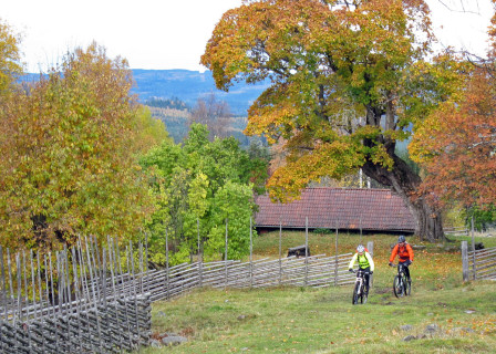 Dalarna i höstskrud bjöd på trevlig cykling