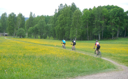 Smörblomsäng och Nya Långa Lugnets kanske enda platta sig.