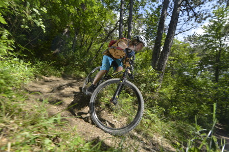 Specialized Camber Expert Evo