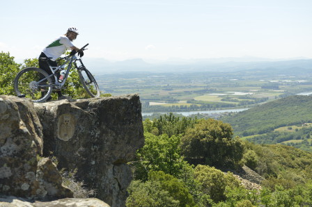 Specialized Stumpjumper FSR S-works Evo 29