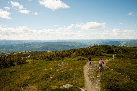 Stigarna kring Hafjell är det inget fel på. Här finns så det räcker ett tag, tyvärr finns inga hyrcyklar värda att lägga pengar på. Foto: Vergard Breie
