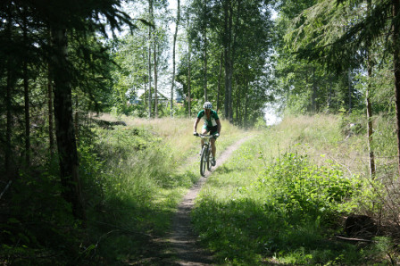falusingletrack
