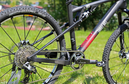 Rose Thrill Hill 650b