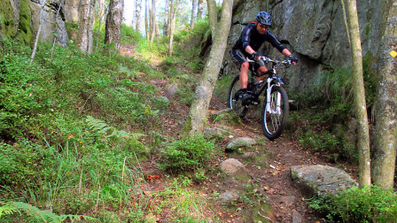 Vid ravinen på Strawberry trail. Foto: Natasja Jovic