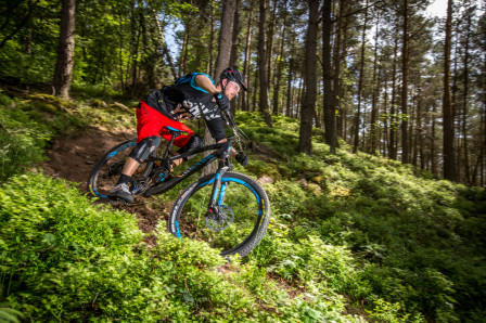 Happymtb testade nya Strive CF på kurviga franska stigar. Foto: Markus Greber