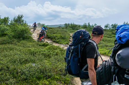 Upp med blicken. Foto: Björn Olsson Upp med blicken. Foto: Björn Olsson