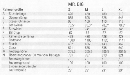 Geometritabell för Rose Mr Big