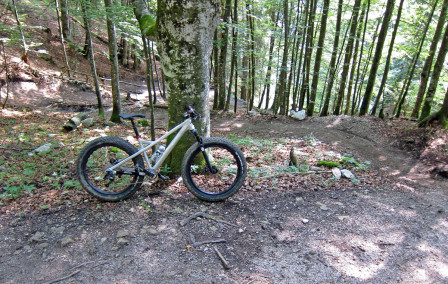 The Tusker tar sig nerför Lisi Osl Trail. 