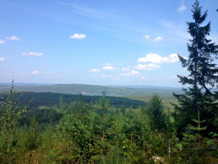 Natursköna Grycksbo omgiven av skog och vackra sjöar!