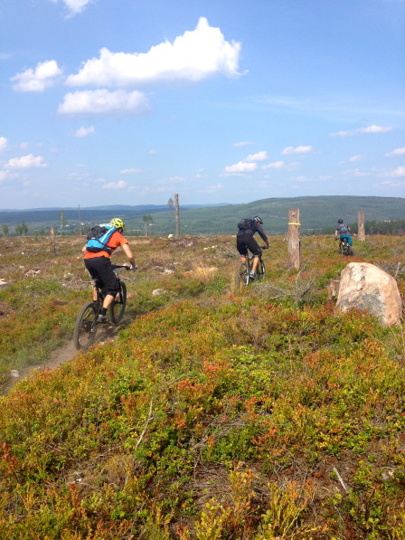 Starten på sträcka sex liknade den på första sträckan och kantades med stökiga stenar och oflyt.