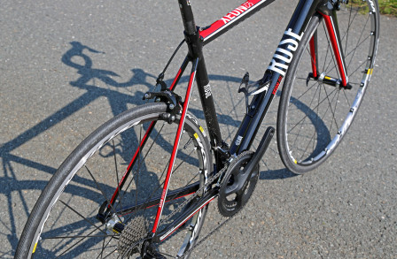 Rose Xeon RS 2015