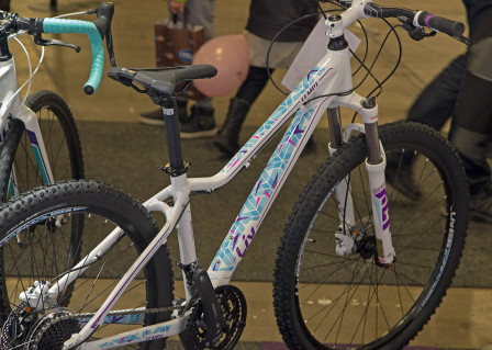 Tempt 100 mm hardtail