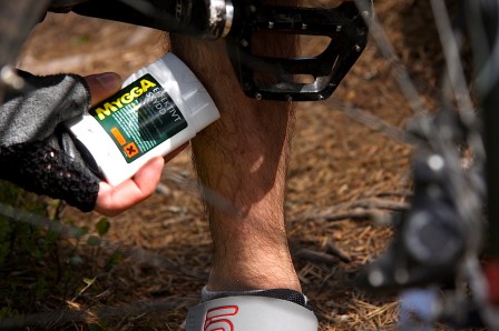 Myggorna visar sin kärlek