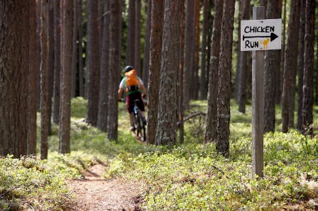 Rörbäcksnäs - stig 5