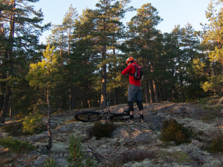 Landsvägsjacka på skogstur