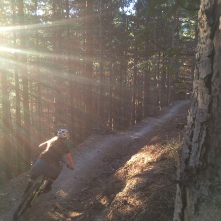 Snabbt, lätt och roligt!