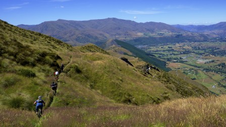 Gröna ängar och oändlig utsikt – Nya Zeeland i ett nötskal. Foto: Joe Bowman