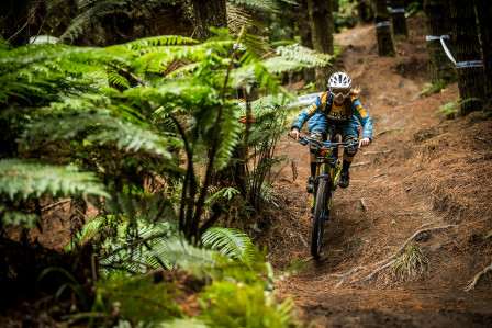 Jag flyger nedför bana sex - Rotoruas gamla downhillbana. Foto: Sven Martin