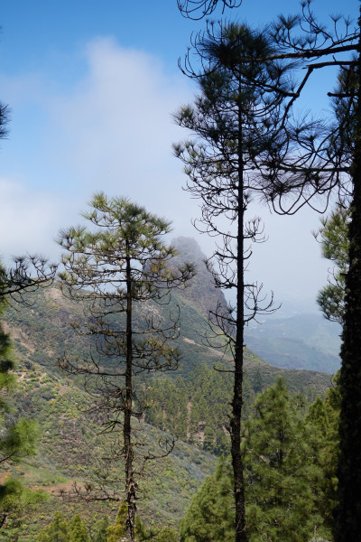 Utsikten strax innan Caldera los Marteles