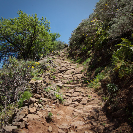 Hej hopp och uppför en ås, jag flåsade som en gås 